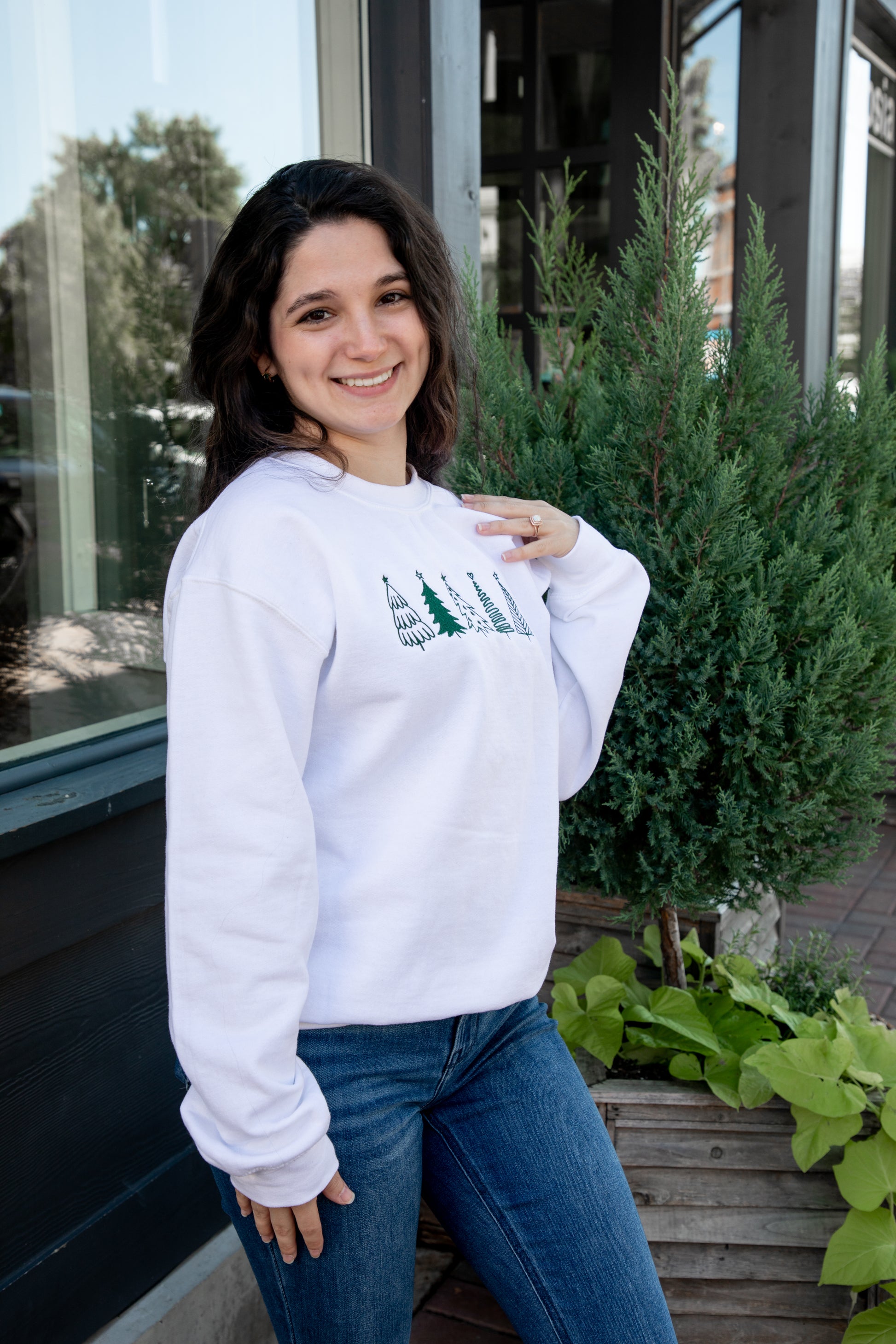 embroidered christmas sweatshirt